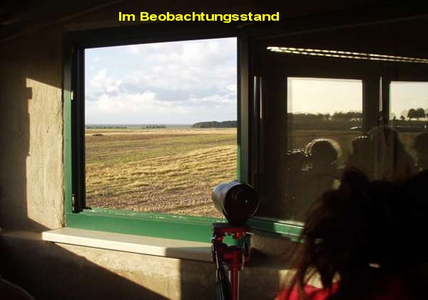 Beobachtungsstand