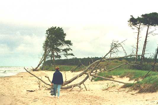 Strandwanderung